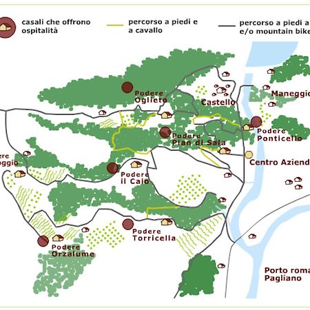 Tenuta Di Corbara Corbara  Zewnętrze zdjęcie