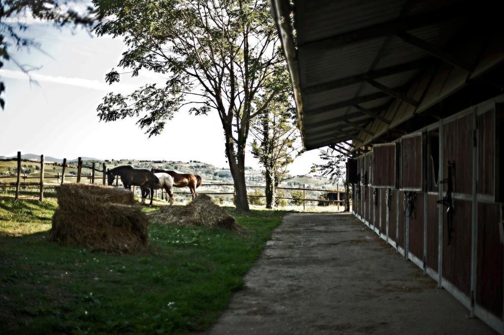 Tenuta Di Corbara Corbara  Zewnętrze zdjęcie