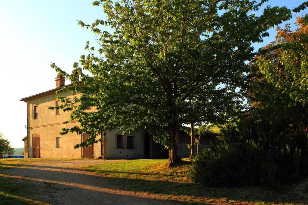 Tenuta Di Corbara Corbara  Pokój zdjęcie