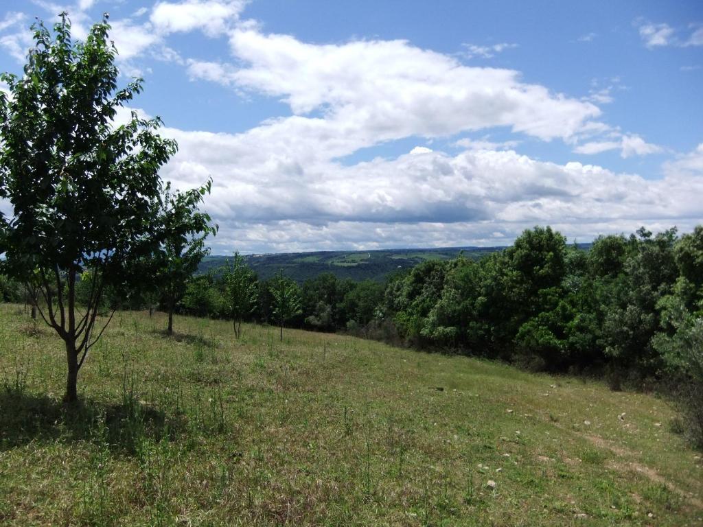 Tenuta Di Corbara Corbara  Zewnętrze zdjęcie