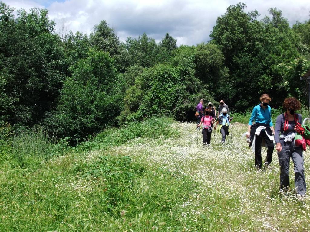 Tenuta Di Corbara Corbara  Zewnętrze zdjęcie