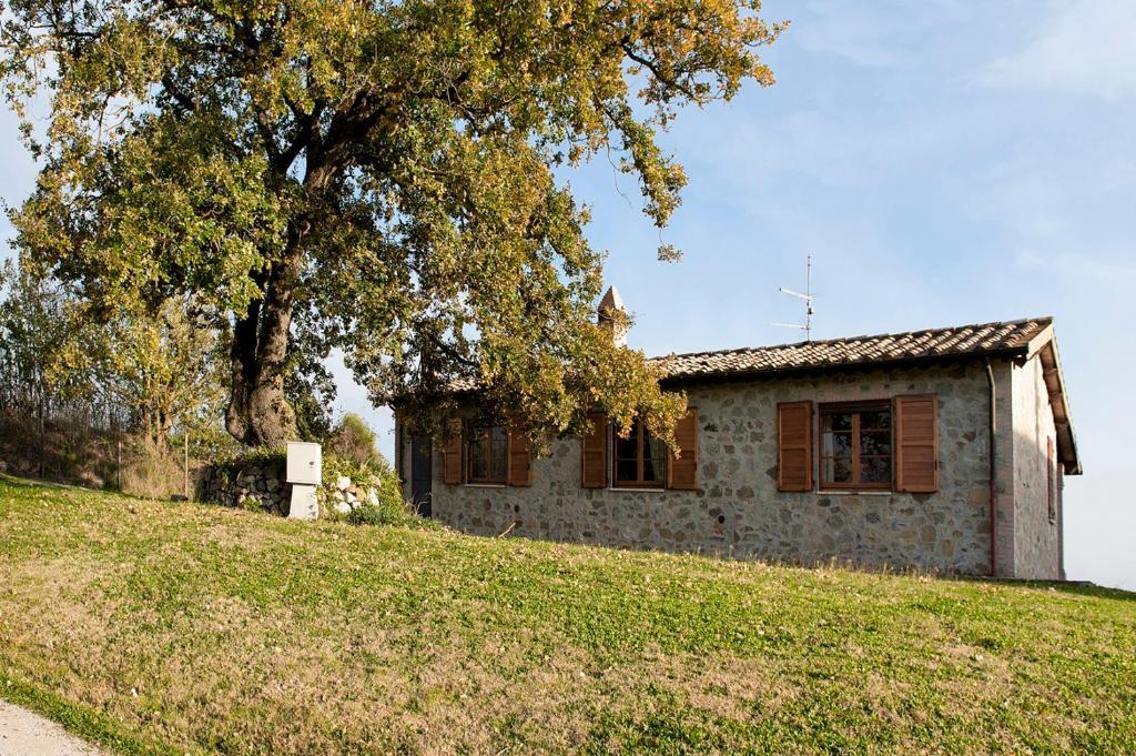 Tenuta Di Corbara Corbara  Zewnętrze zdjęcie
